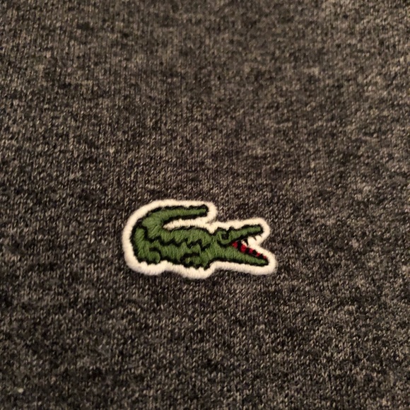 Lacoste Sweatshirt Crewneck dark grey brushed - Picture 5 of 7